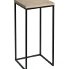 Clearance Fiona Wood Top Plant Stand With Metal Base, Medium Flash Sale Plant Stands