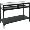 New Honeybloom Sage Frost Console Table Opening Sales Entryway Furniture