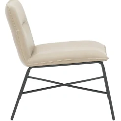 Zoey Accent Chair, Light Grey Fashion Accent Chairs